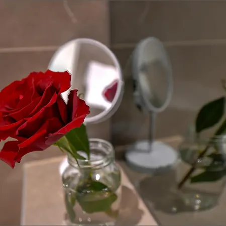 Porto בית הארחה